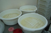 Fabrication du fromage de chèvre : le Caillé  (Cliquez pour Zoomer)
