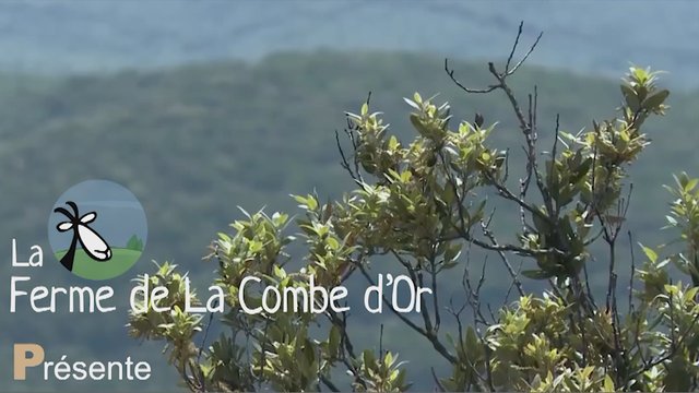 Ferme de La Combe d'Or