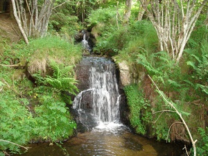 Cascades à la Ferme de La Combe d'Or (Cliquez pour Zoomer)