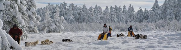 Parc du Chien Nordique