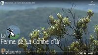 Bienvenue à la Ferme de La Combe d'Or (juillet 2014)