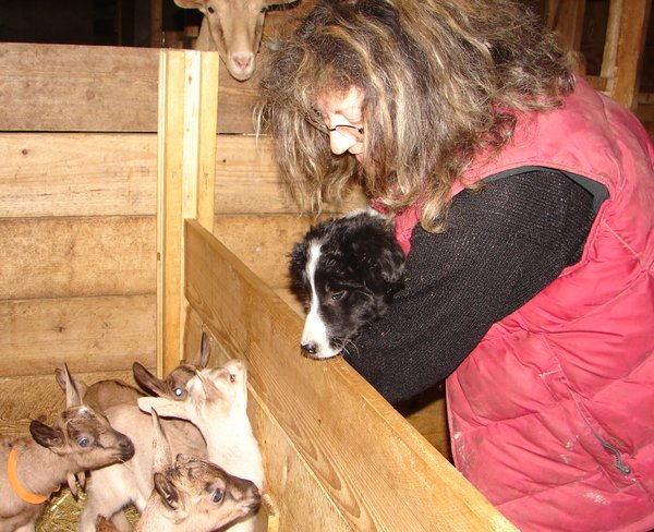 Max fait connaissance avec les chevrettes