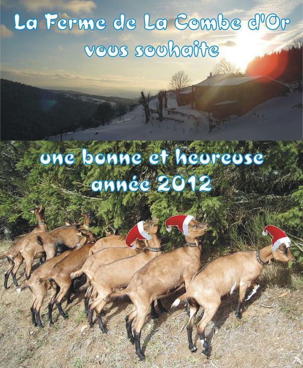 Bonne Année 2012