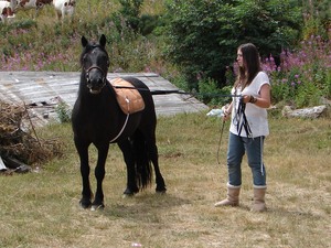 Toumaï : Exercice à la longe avec Laurine