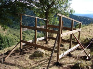 Structure de l'abri à chevaux en place