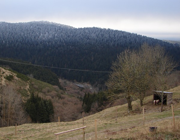 Après-midi givrée