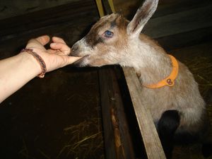 ... têter les doigts veut dire : j'ai faim !