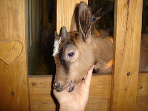 Un câlin pour dire merci !!