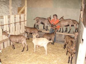 La seconde moitié de la chèvrerie, avec sa partie réhaussée dans le fond