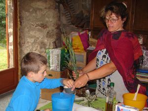 Explications autour du blé : toucher les grains...