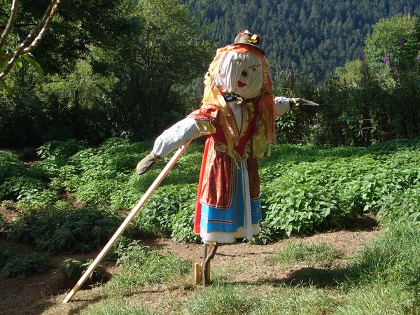 Habillée et décorée, Boucle d'Or est installée dans le poulailler. Rapaces, passez votre chemin